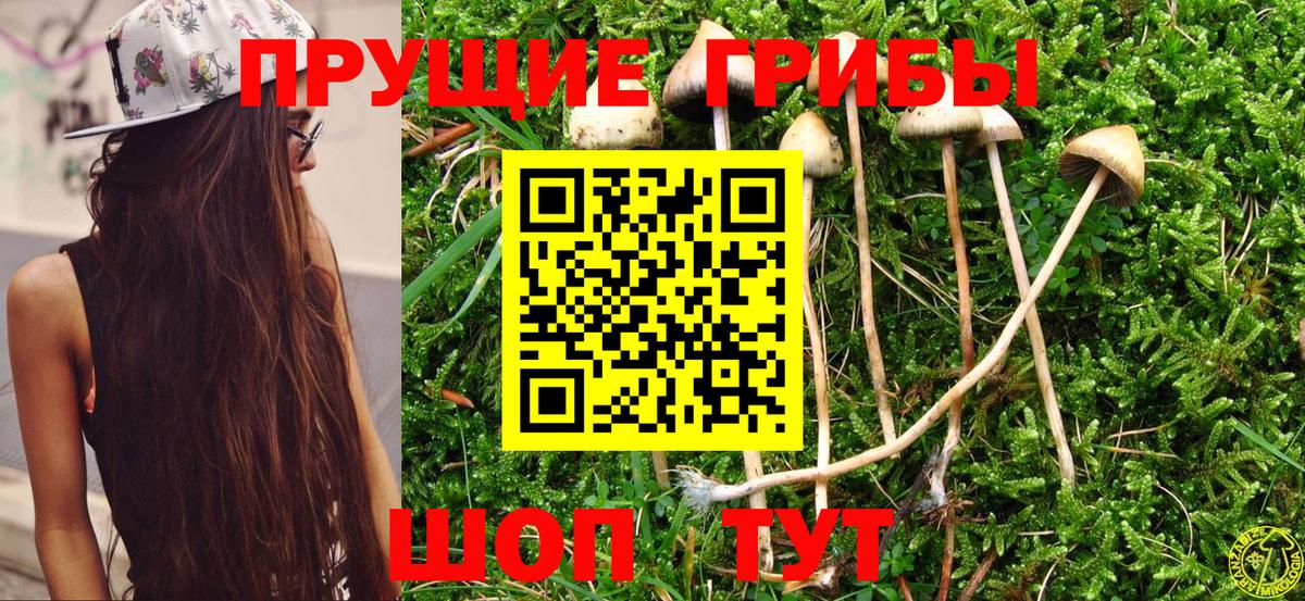 Галлюциногенные грибы мухоморы  Вход с VPN  как найти наркотики  Минеральные Воды 